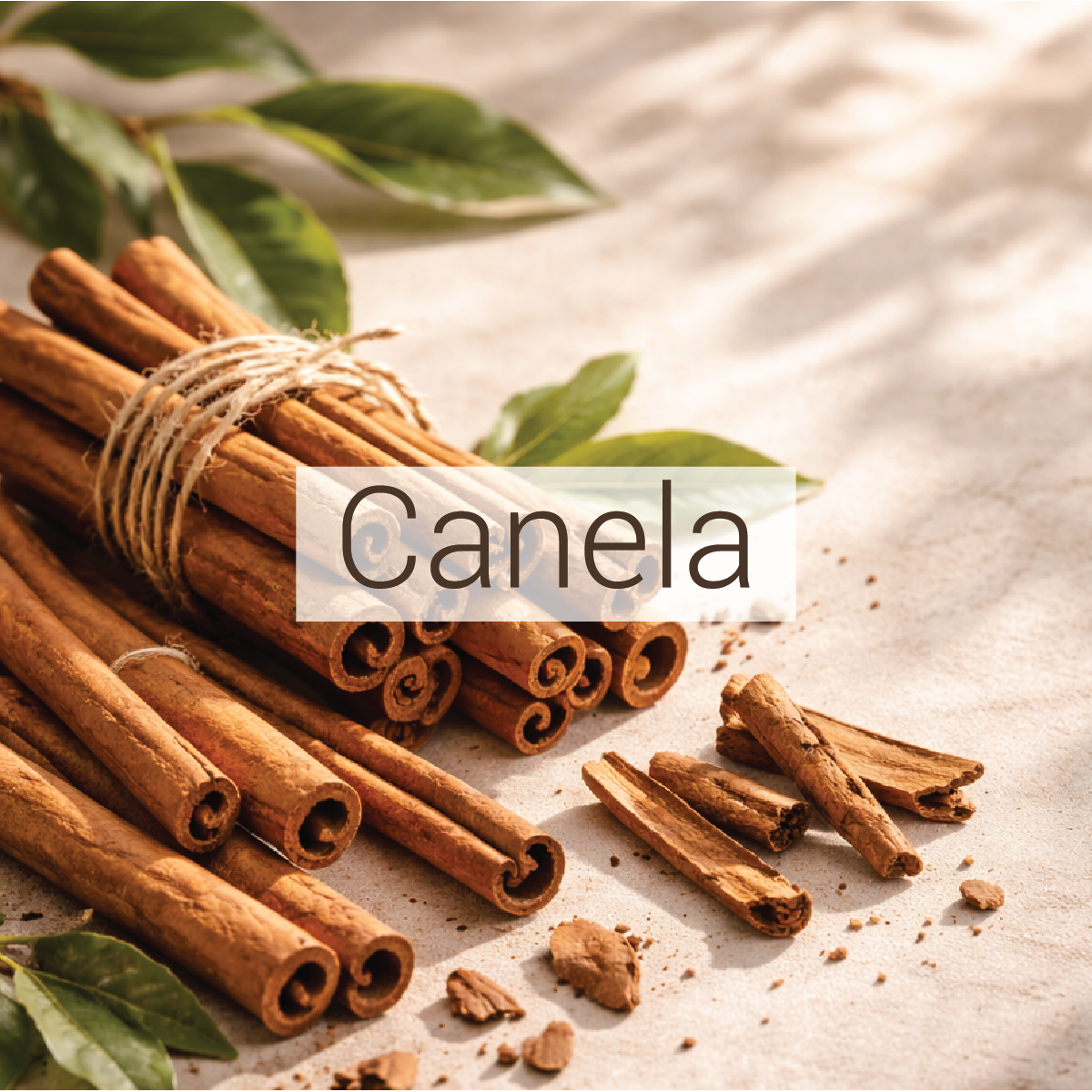 Canela