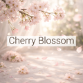 Cherry Blossom