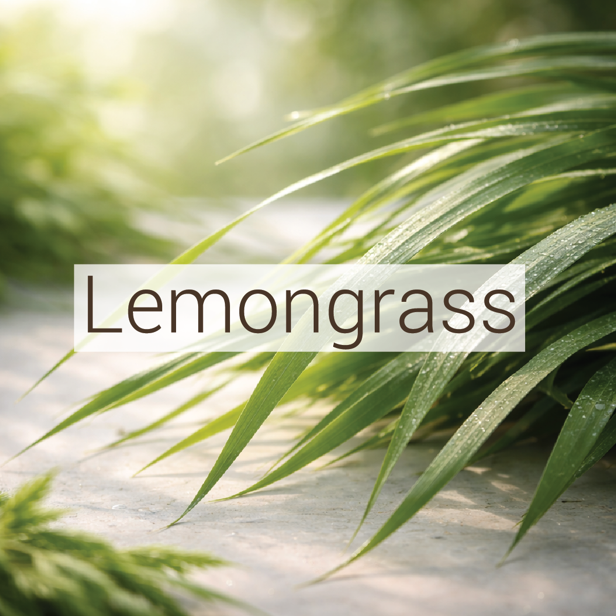 Lemongrass