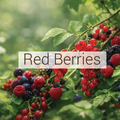 Red Berries