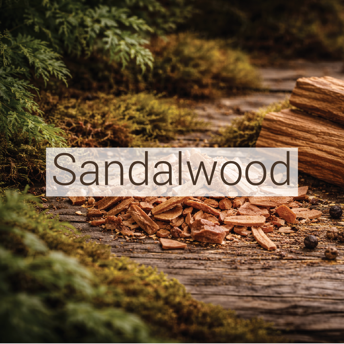 Sandalwood