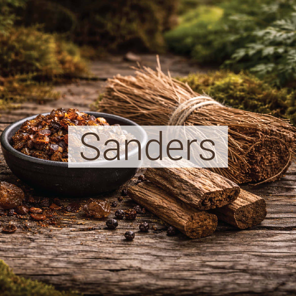 Sanders