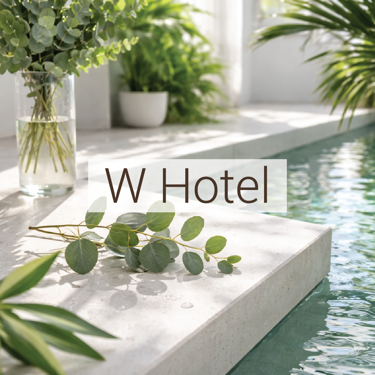 W Hotel